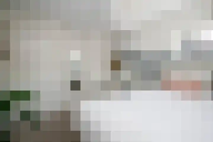 Elzenstraat 10 Schoonhoven thumbnail 28