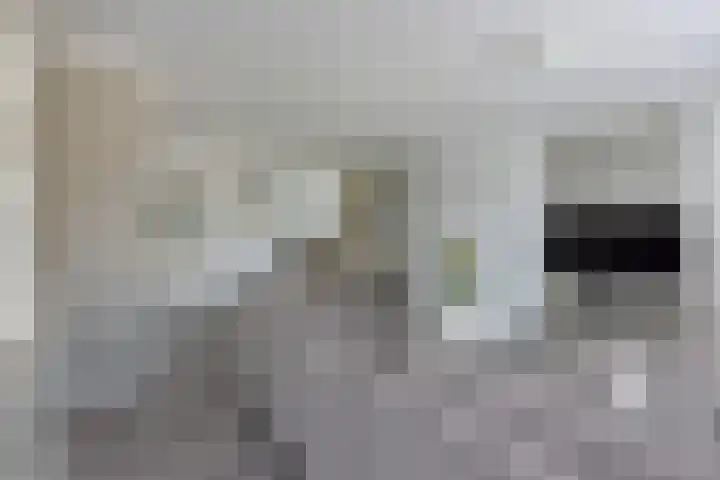 Elzenstraat 10 Ter Aar thumbnail 11