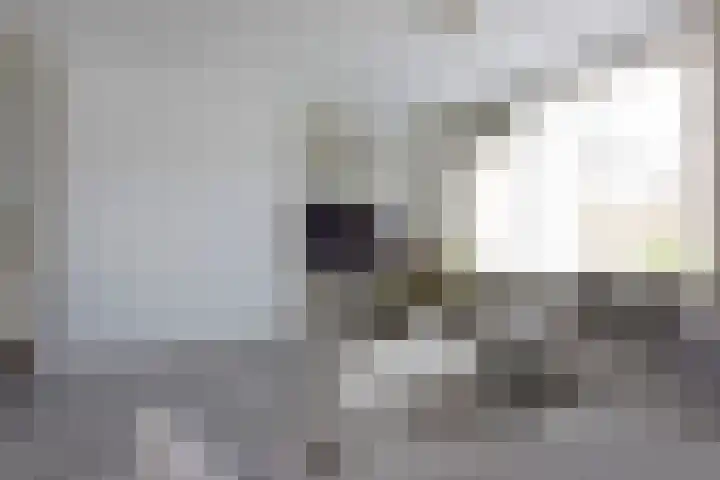 Elzenstraat 10 Ter Aar thumbnail 13