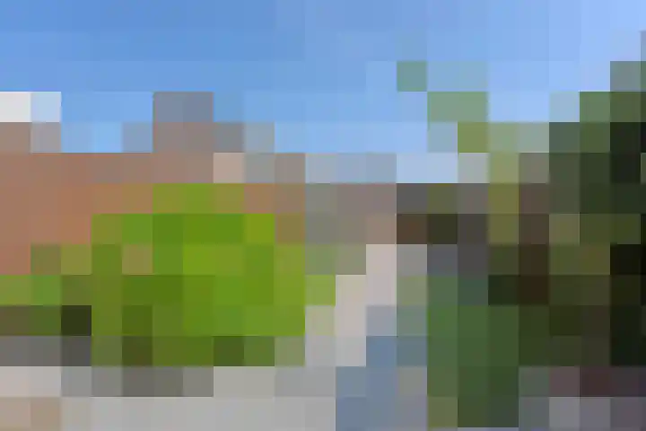 Elzenstraat 10 Ter Aar thumbnail 32