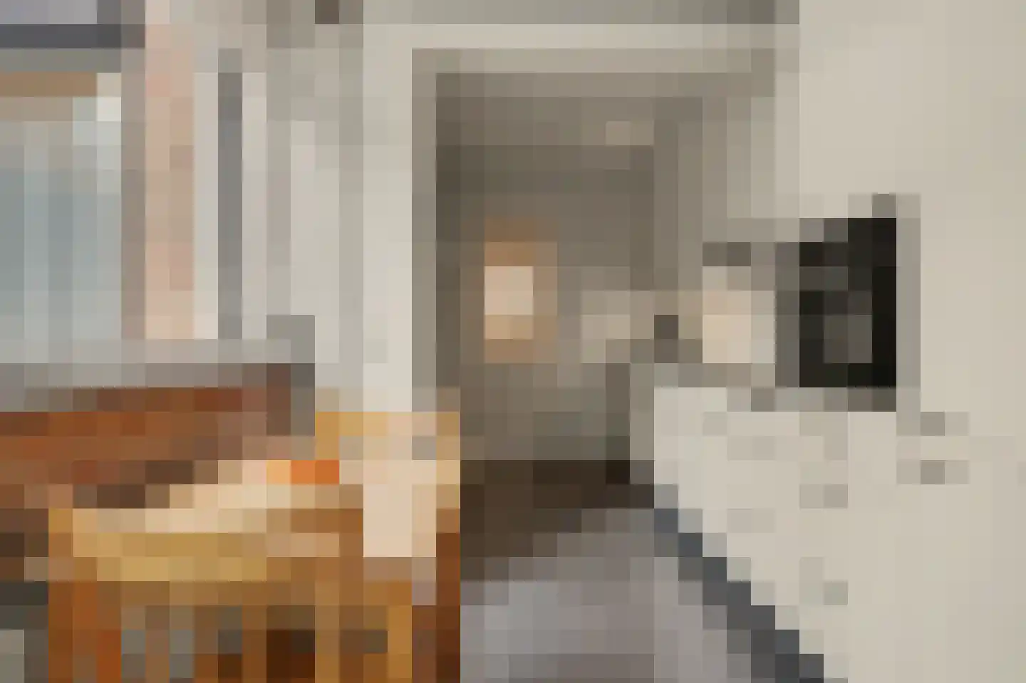 Elzenstraat 11 Oudenbosch thumbnail 12