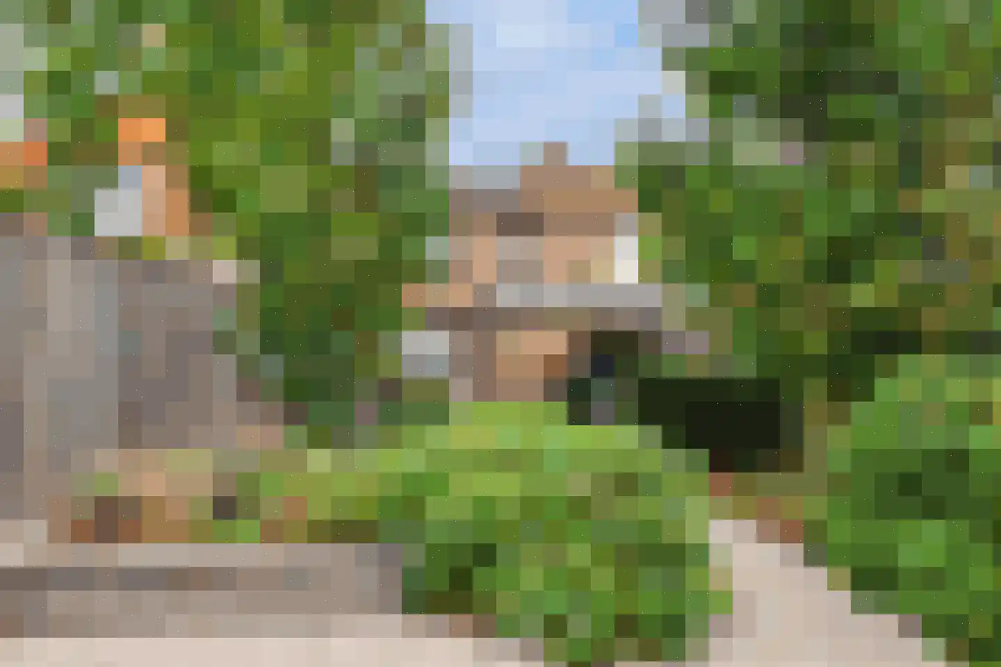 Elzenstraat 11 Oudenbosch thumbnail 23