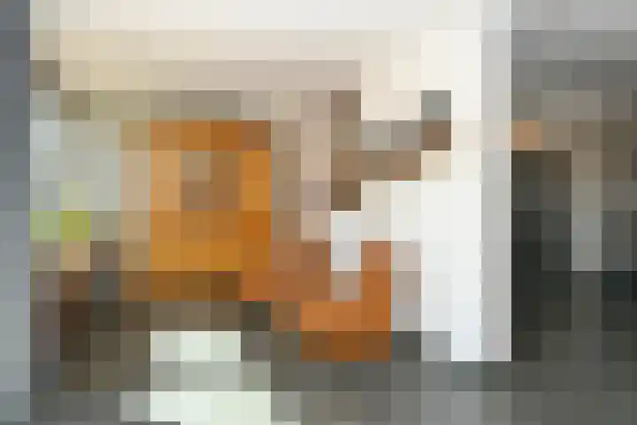 Elzenstraat 12 Hunsel thumbnail 11