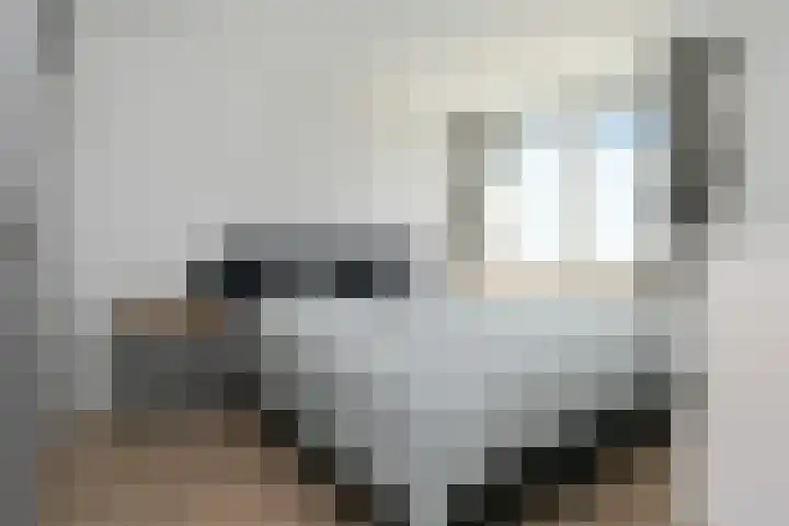 Elzenstraat 12 Hunsel thumbnail 15