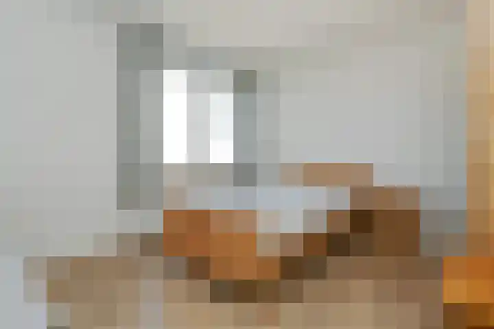 Elzenstraat 12 Hunsel thumbnail 17