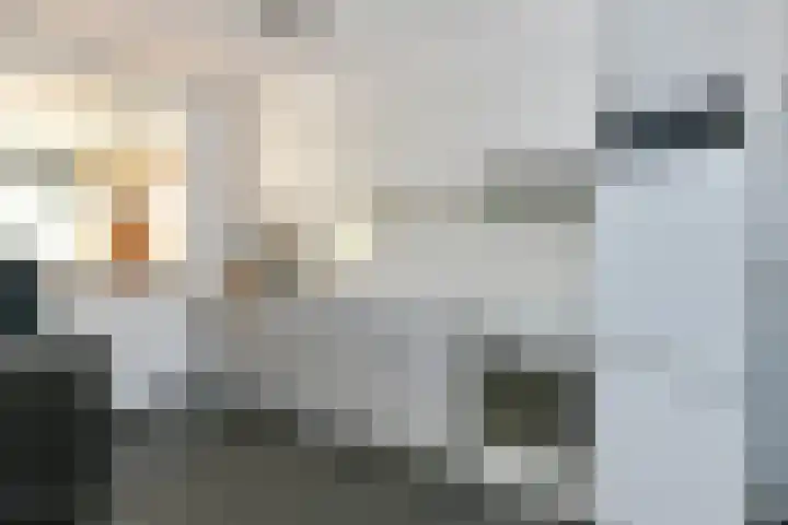 Elzenstraat 12 Hunsel thumbnail 5