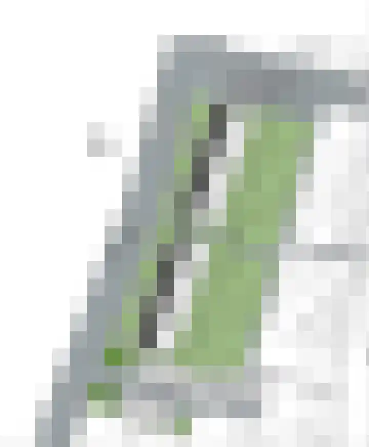 Elzenstraat 12 Vogelwaarde thumbnail 6