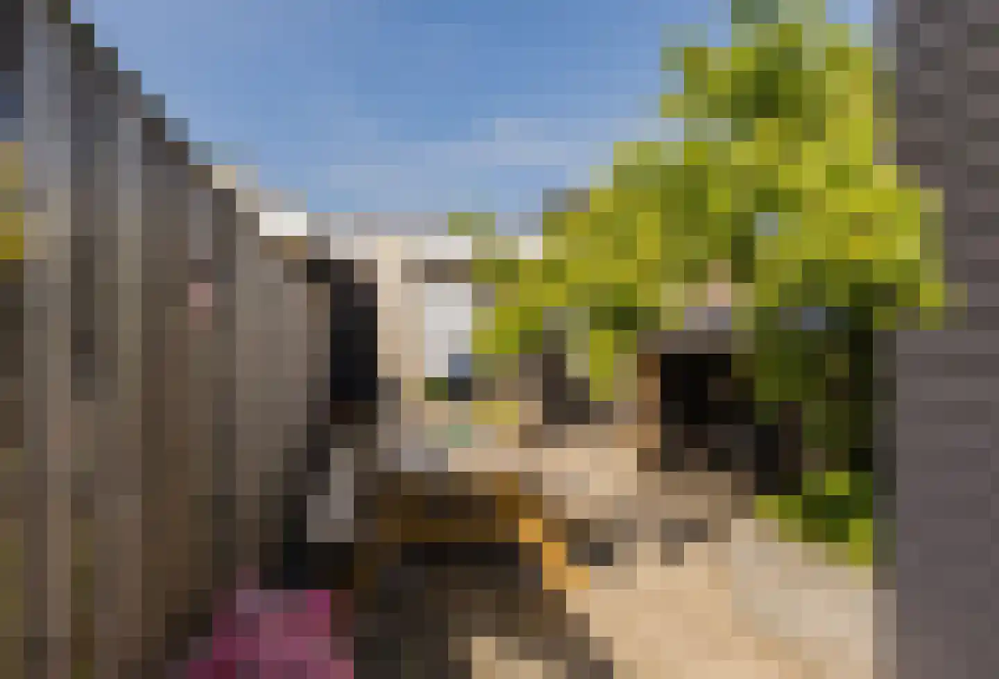 Elzenstraat 16 IJmuiden thumbnail 22