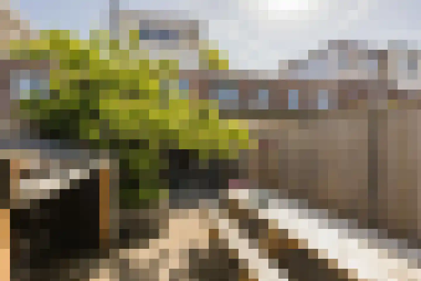 Elzenstraat 16 IJmuiden thumbnail 23
