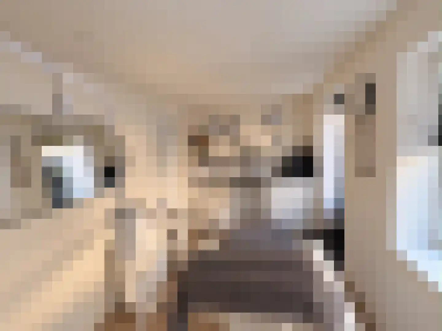 Elzenstraat 16 IJmuiden thumbnail 27