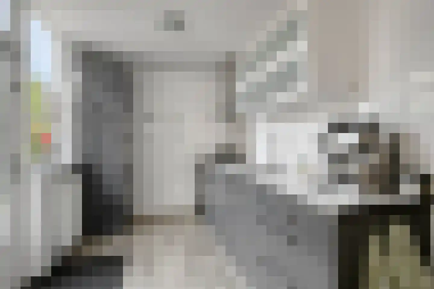 Elzenstraat 25 Zwolle thumbnail 11