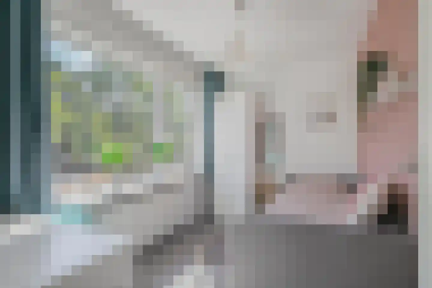 Elzenstraat 25 Zwolle thumbnail 19