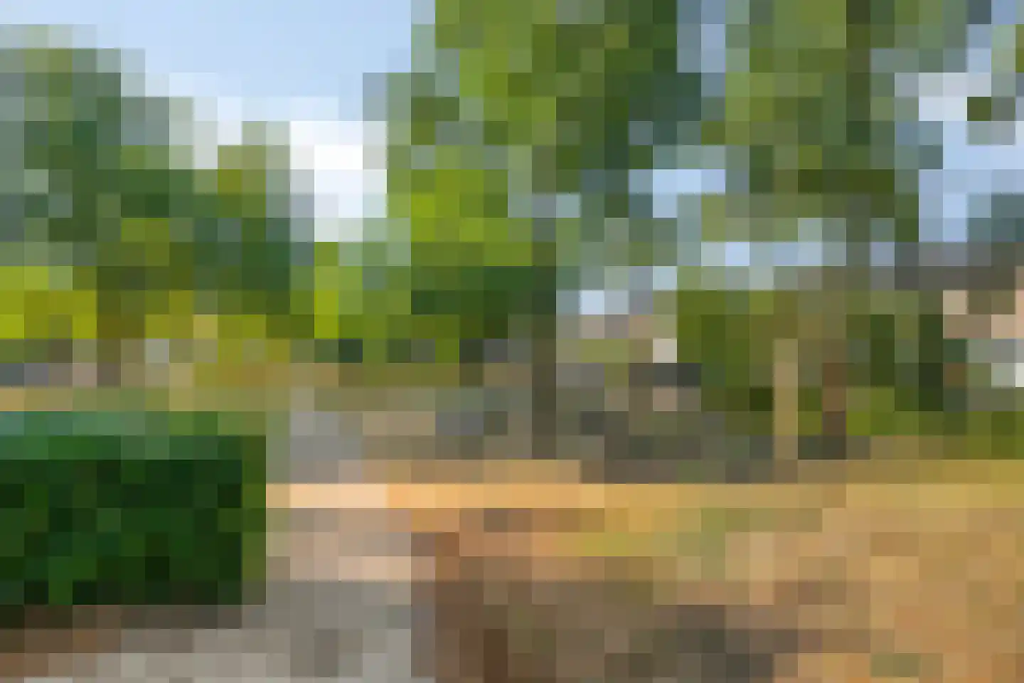 Elzenstraat 25 Zwolle thumbnail 32