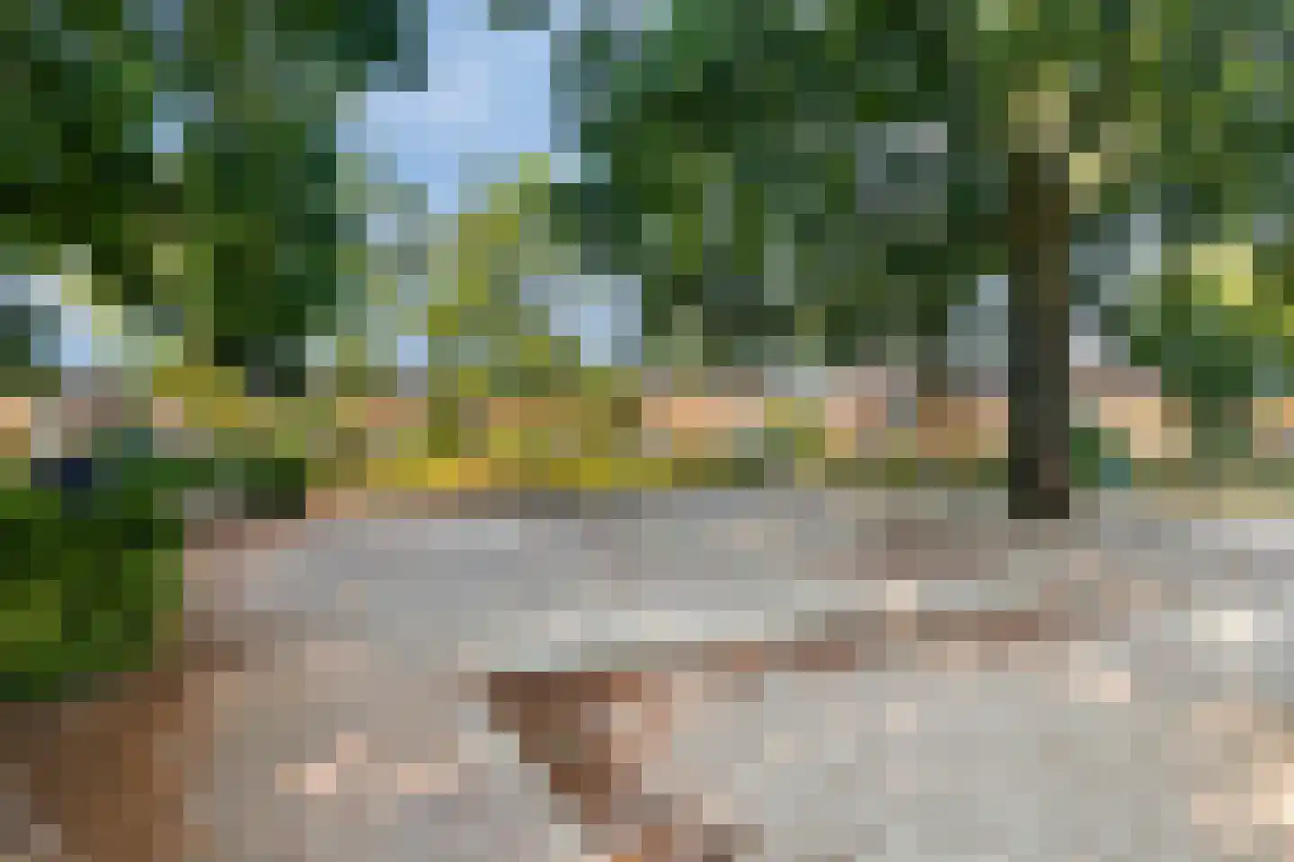 Elzenstraat 25 Zwolle thumbnail 33