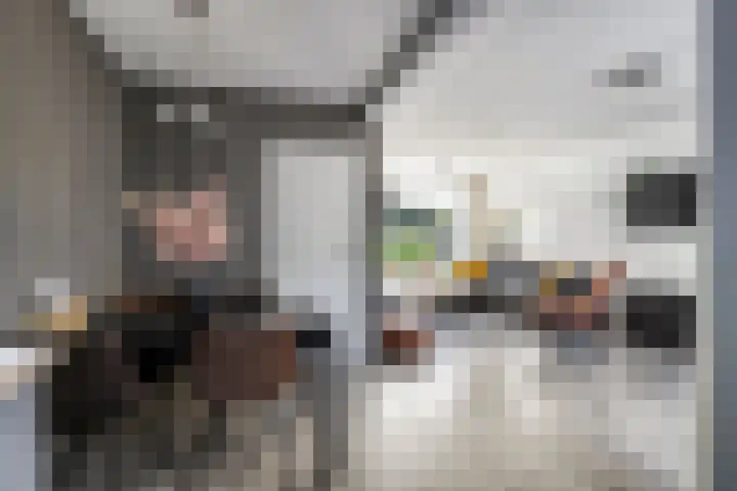Elzenstraat 25 Zwolle thumbnail 6