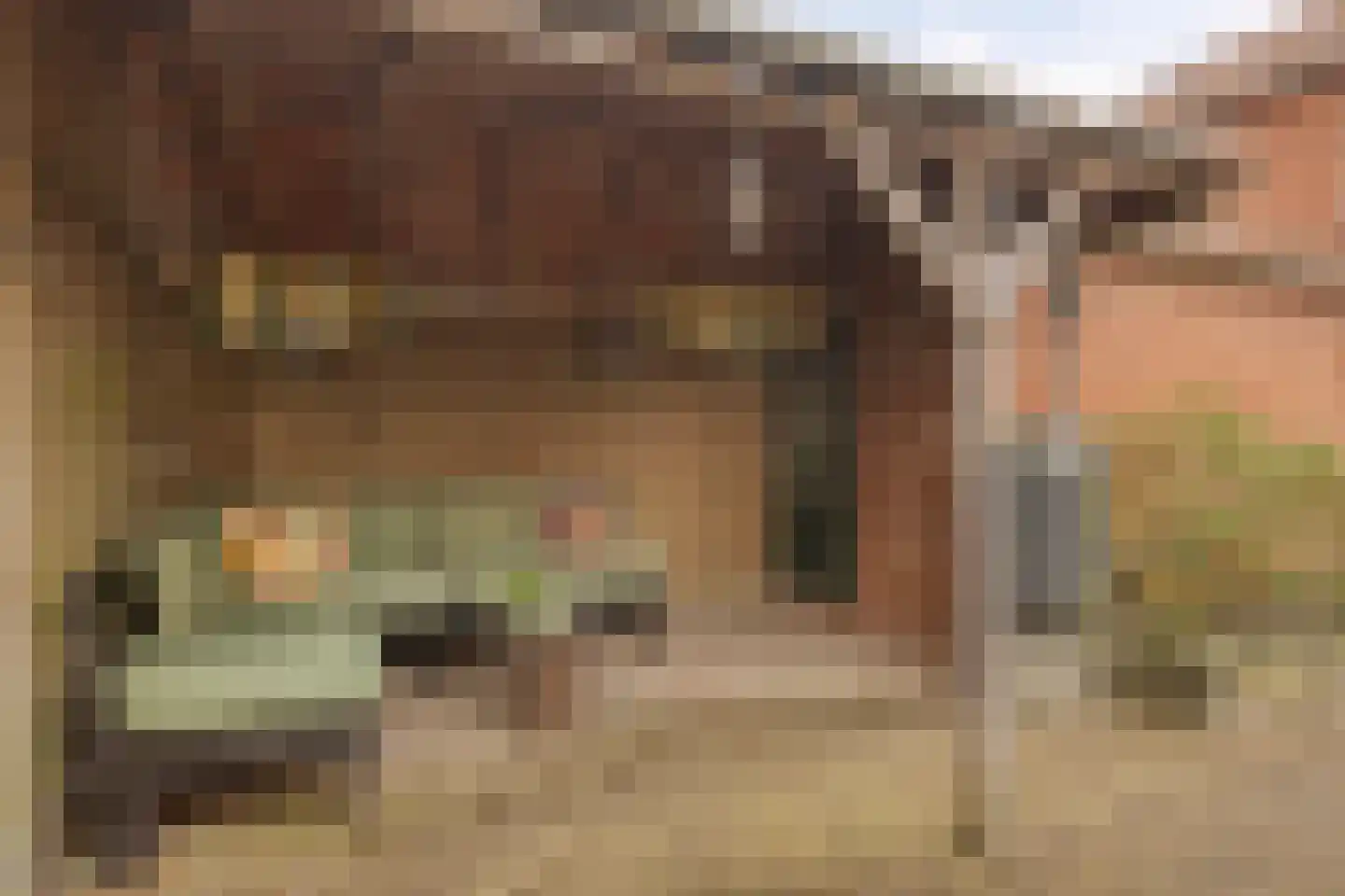 Elzenstraat 28 Winterswijk thumbnail 33