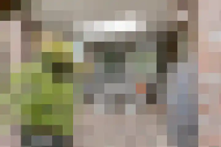 Elzenstraat 3 Megen thumbnail 38