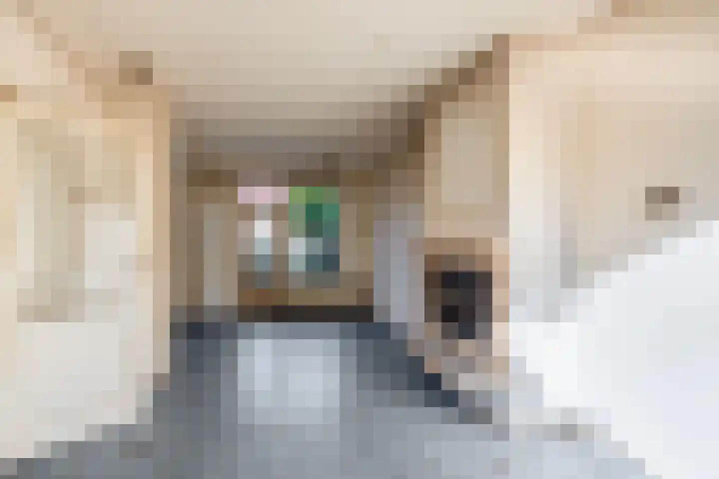 Elzenstraat 3 Nieuwkoop thumbnail 4
