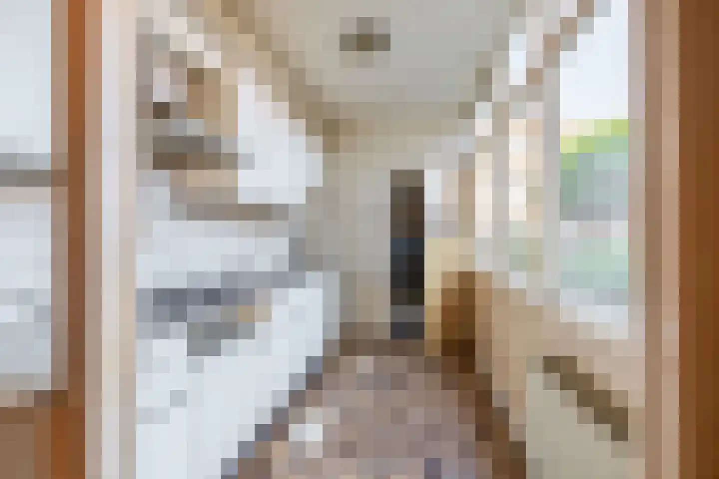 Elzenstraat 3 Nieuwkoop thumbnail 5