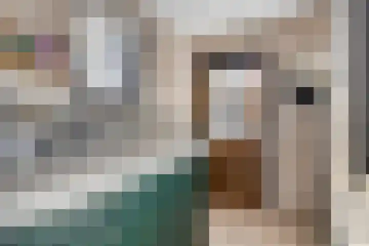 Elzenstraat 3 Veenoord thumbnail 13