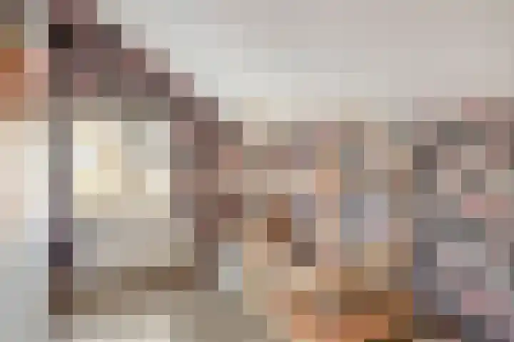 Elzenstraat 3 Veenoord thumbnail 18