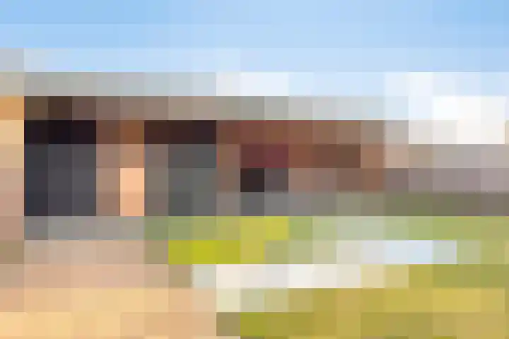 Elzenstraat 3 Veenoord thumbnail 23