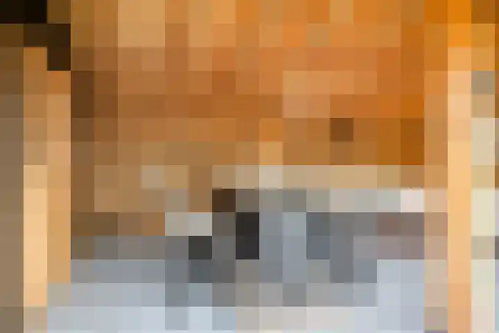 Elzenstraat 3 Veenoord thumbnail 24