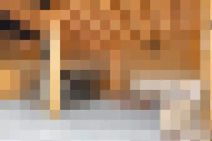 Elzenstraat 3 Veenoord thumbnail 25