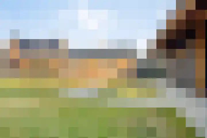 Elzenstraat 3 Veenoord thumbnail 26