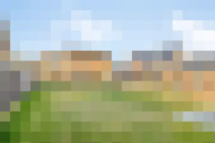 Elzenstraat 3 Veenoord thumbnail 27