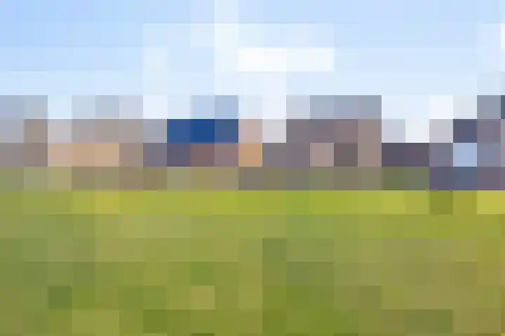 Elzenstraat 3 Veenoord thumbnail 31
