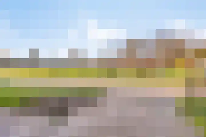 Elzenstraat 3 Veenoord thumbnail 32