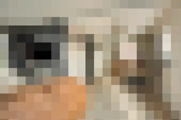 Elzenstraat 3 Veenoord thumbnail 7