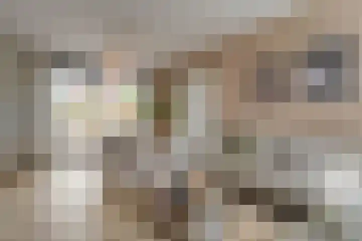Elzenstraat 3 Zwolle thumbnail 10