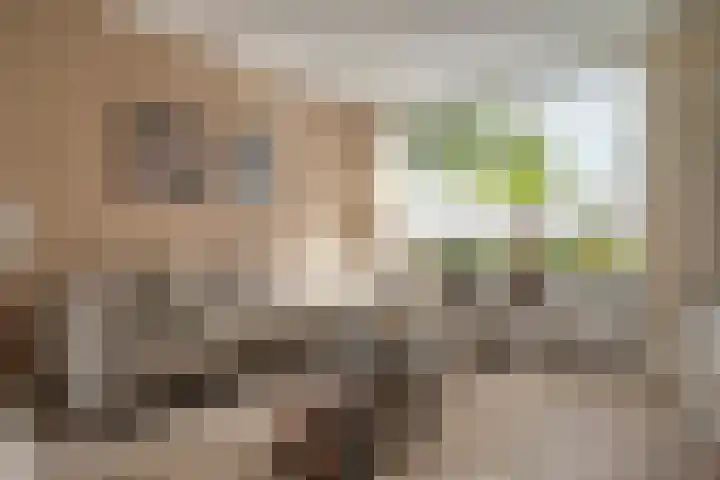 Elzenstraat 3 Zwolle thumbnail 11