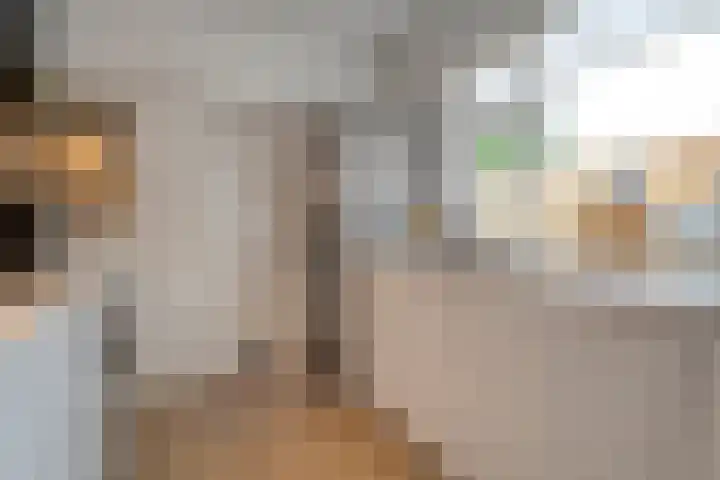 Elzenstraat 3 Zwolle thumbnail 17