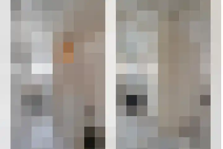 Elzenstraat 3 Zwolle thumbnail 20