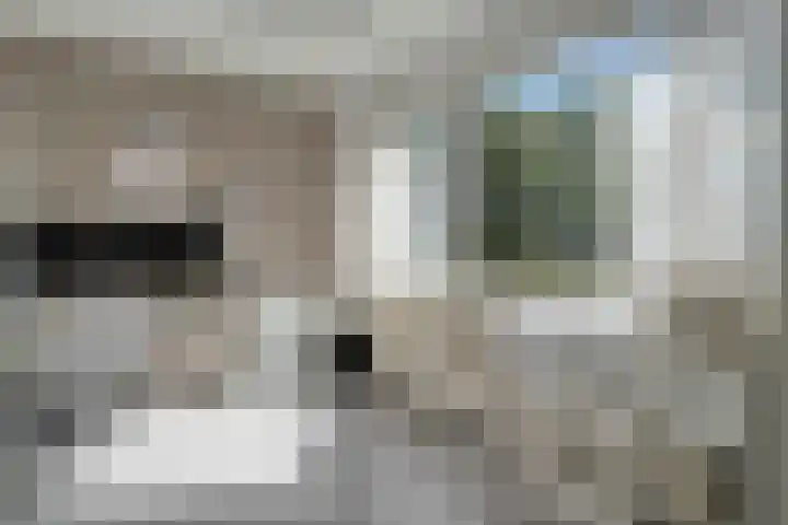 Elzenstraat 3 Zwolle thumbnail 21