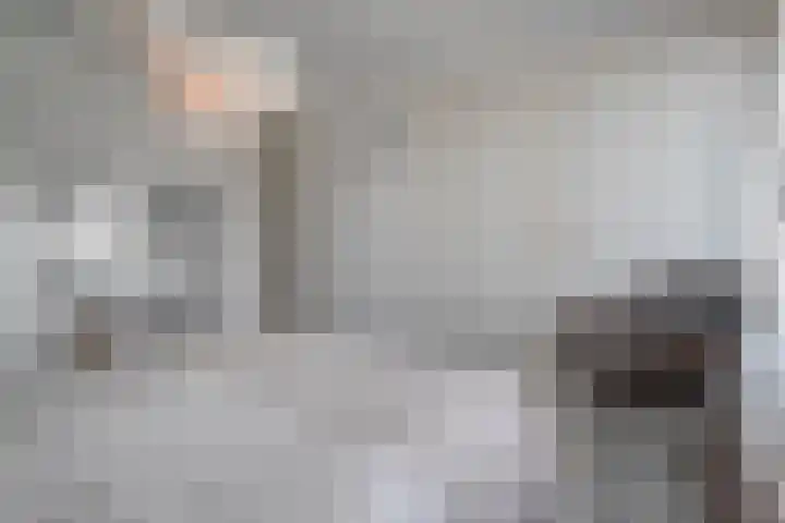 Elzenstraat 3 Zwolle thumbnail 26
