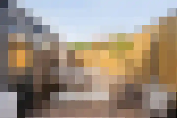 Elzenstraat 3 Zwolle thumbnail 30