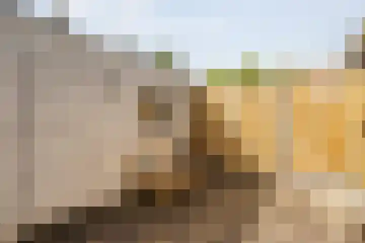 Elzenstraat 3 Zwolle thumbnail 31