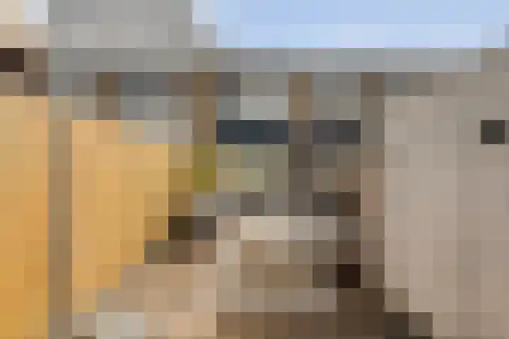 Elzenstraat 3 Zwolle thumbnail 32