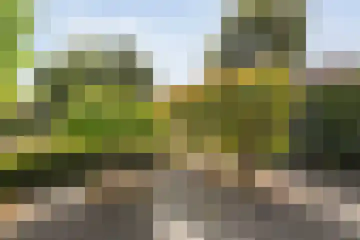Elzenstraat 3 Zwolle thumbnail 34