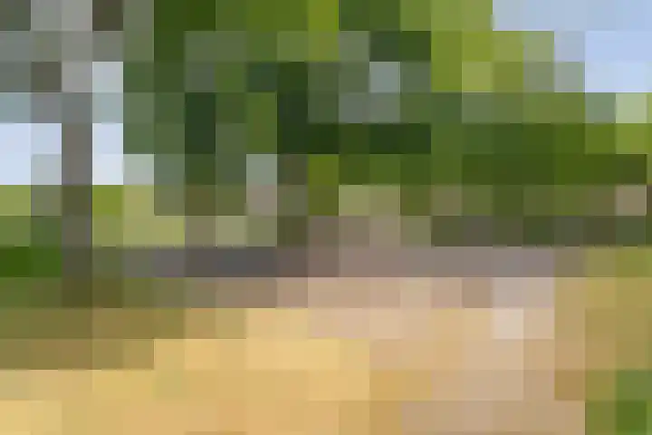 Elzenstraat 3 Zwolle thumbnail 36