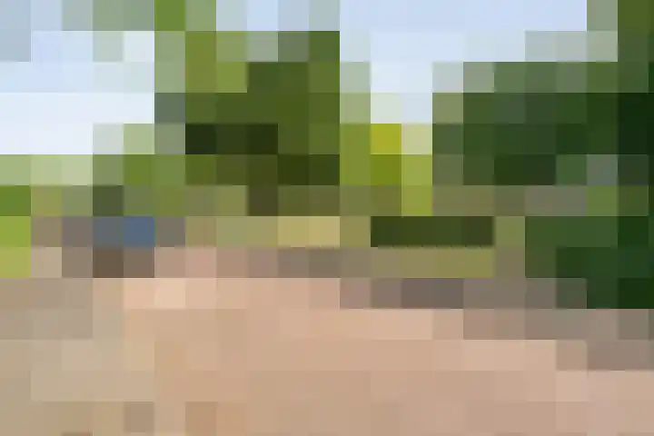 Elzenstraat 3 Zwolle thumbnail 4