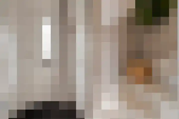 Elzenstraat 3 Zwolle thumbnail 7