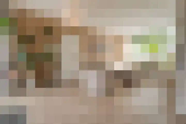 Elzenstraat 3 Zwolle thumbnail 9