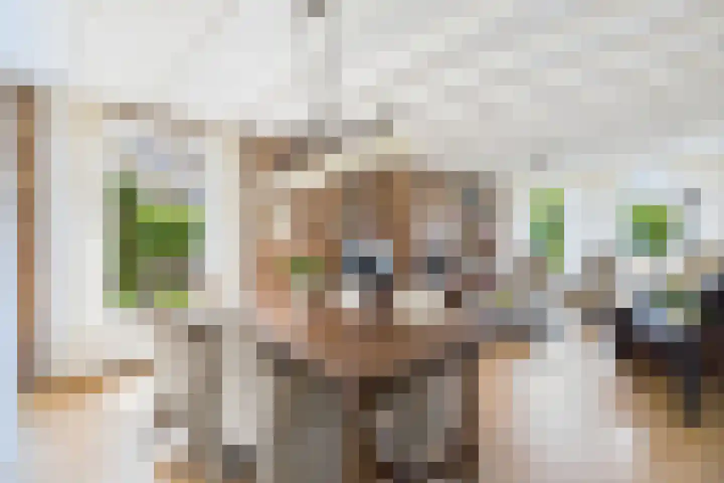 Elzenstraat 30 Vogelwaarde thumbnail 10