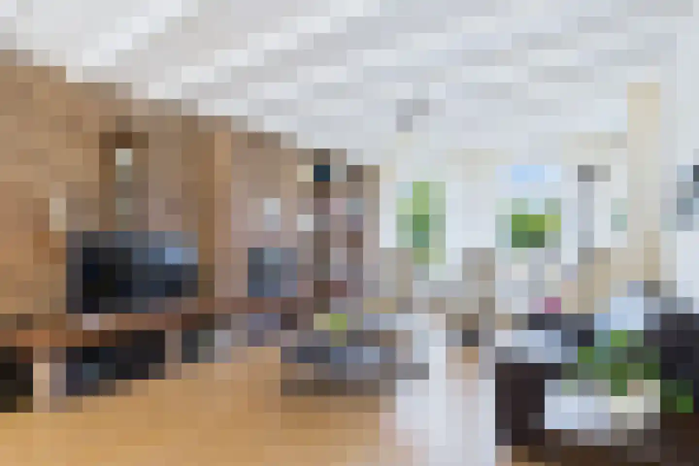 Elzenstraat 30 Vogelwaarde thumbnail 12