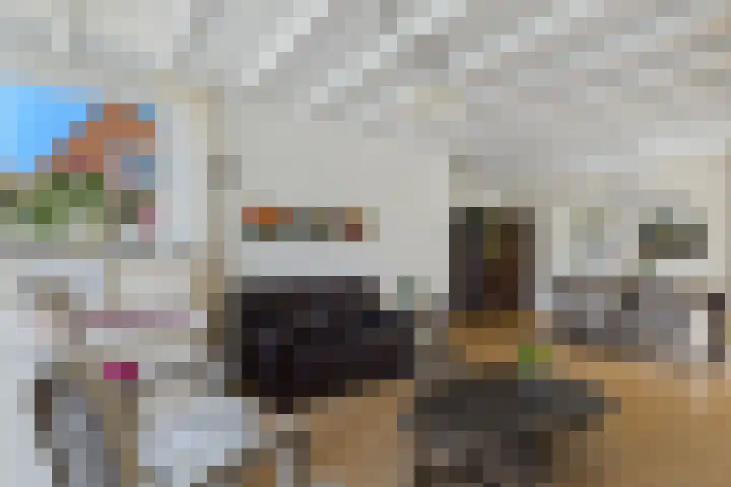 Elzenstraat 30 Vogelwaarde thumbnail 13
